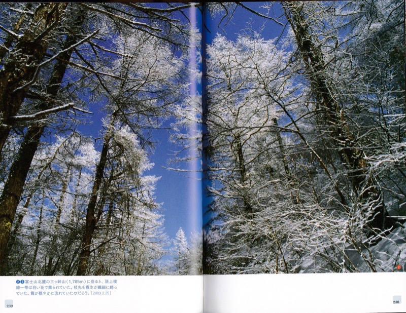 2007.8──『山の道、山の花』（晩聲社）