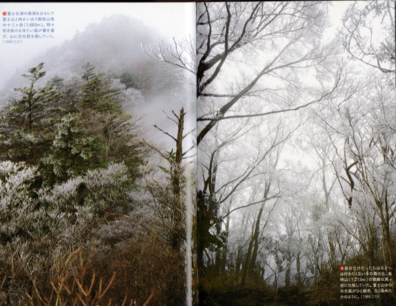 2007.8──『山の道、山の花』（晩聲社）