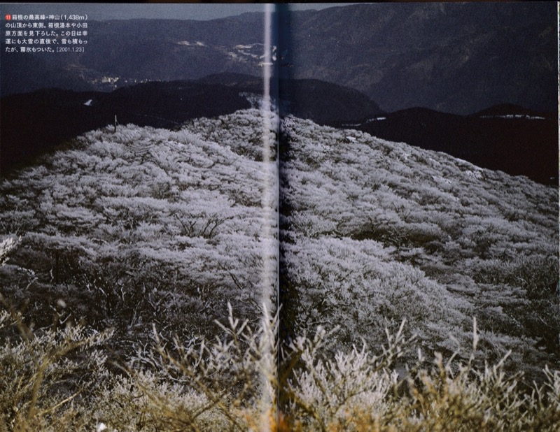 2007.8──『山の道、山の花』（晩聲社）