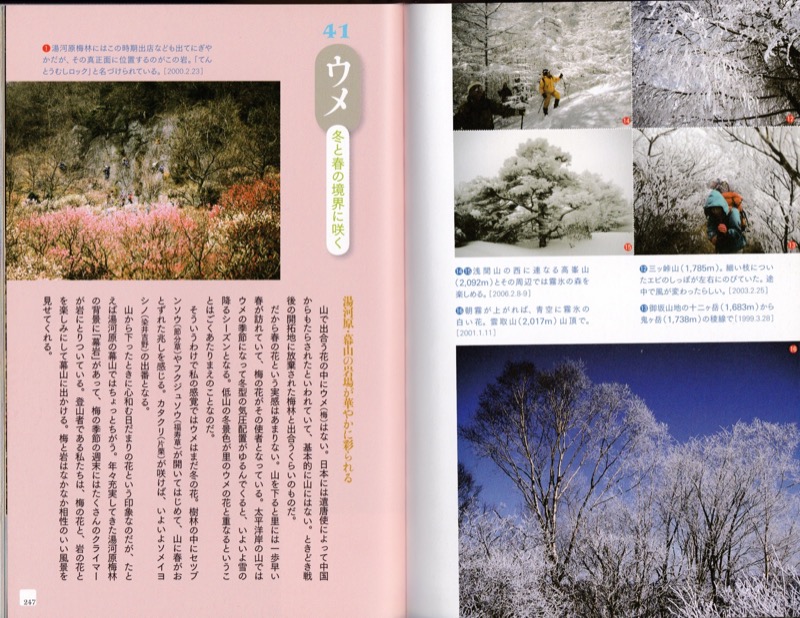 2007.8──『山の道、山の花』（晩聲社）