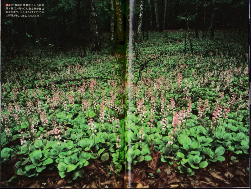 2009.4──『軽登山を楽しむ　山の道、山の風』（晩聲社）