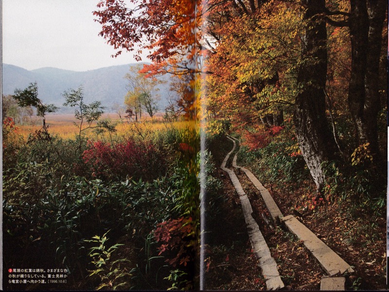 2009.4──『軽登山を楽しむ　山の道、山の風』（晩聲社）