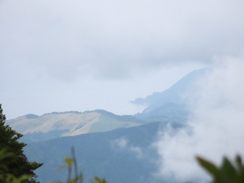 天城山。海岸線はほんの少しだけ。白茶けた面はゴルフ場だろうか。