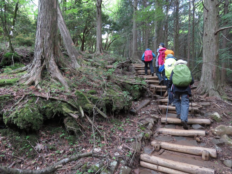 天城山。土留めの階段がこんな状態だと先が思いやられます。