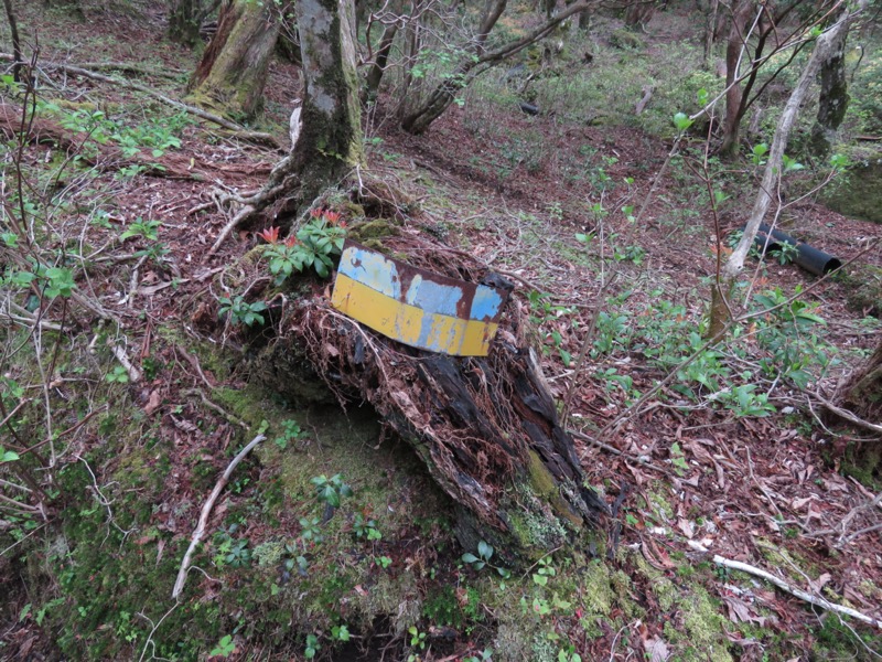 天城山。再びウクライナマーク。これはずいぶん傷んでいます。