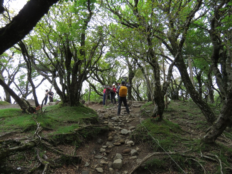 天城山。万二郎岳（ばんじろうだけ）山頂に着きました。