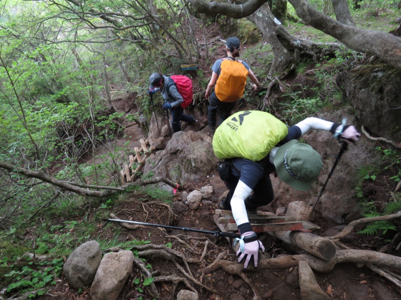 天城山。馬の背からの下りです。標高差約50mの急斜面を一気に下ることになります。