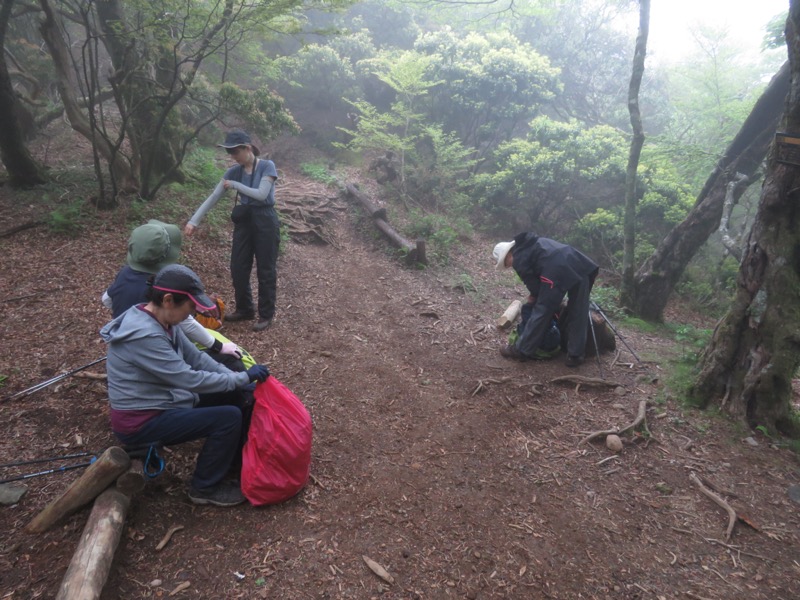 天城山。馬の背から下ったところが石楠立（はなだて）でした。