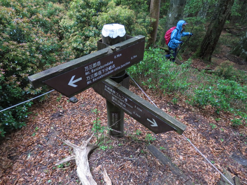 天城山。標高約1,400mの分岐からほぼ真っすぐ下ってきた道が、この標高1,150m等高線のところで巻道に変わります。