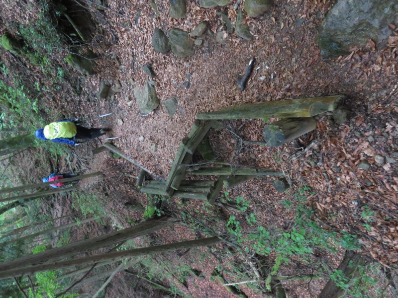 天城山。巻道はこんなふうに始まりました。ここが標高約1,150m、下がって標高約1,050mという起伏の少ない(はずの)道になります。