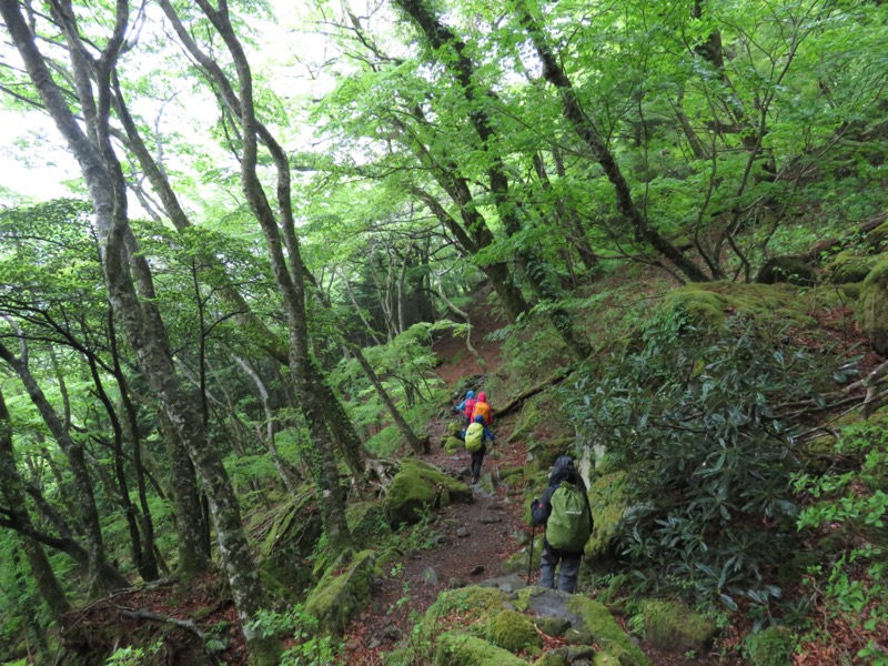 天城山。要するに自分たちがいまどこにいるか、よくわからないまま、大雑把な時間経過で現在位置を把握したいと思っていただけでした。