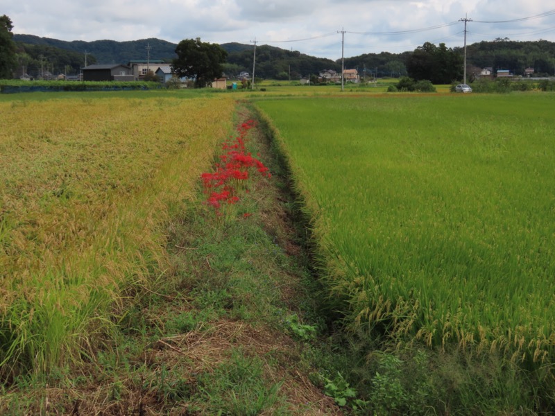 太平山、馬不入山、晃石山