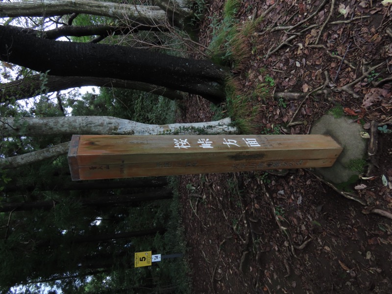 太平山、馬不入山、晃石山