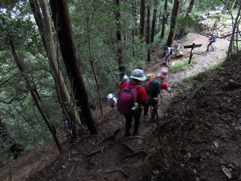 太平山、馬不入山、晃石山