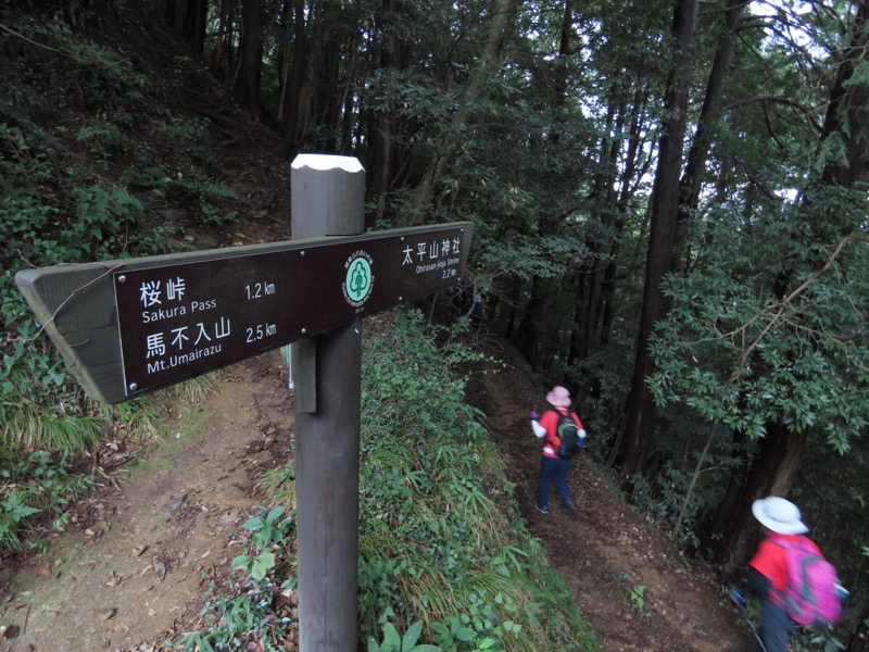 太平山、馬不入山、晃石山