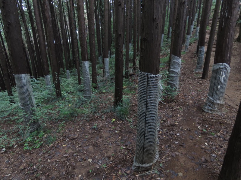 太平山、馬不入山、晃石山