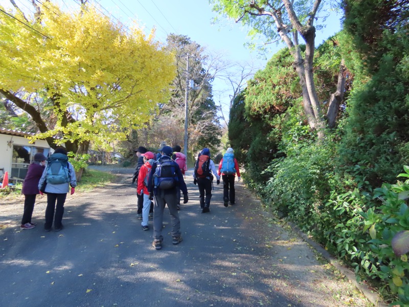 大高取山