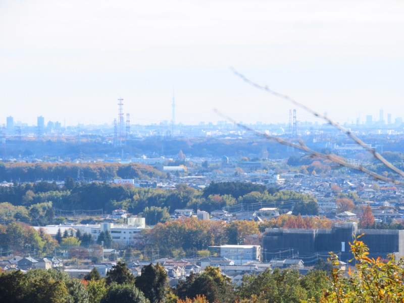 大高取山