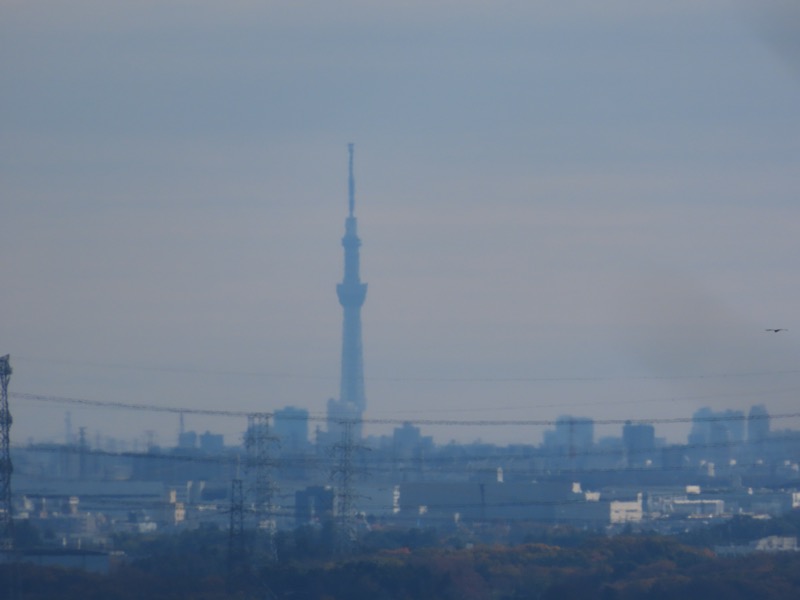 大高取山