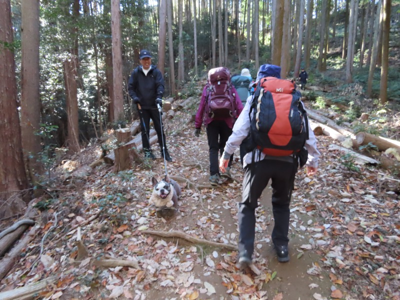 大高取山