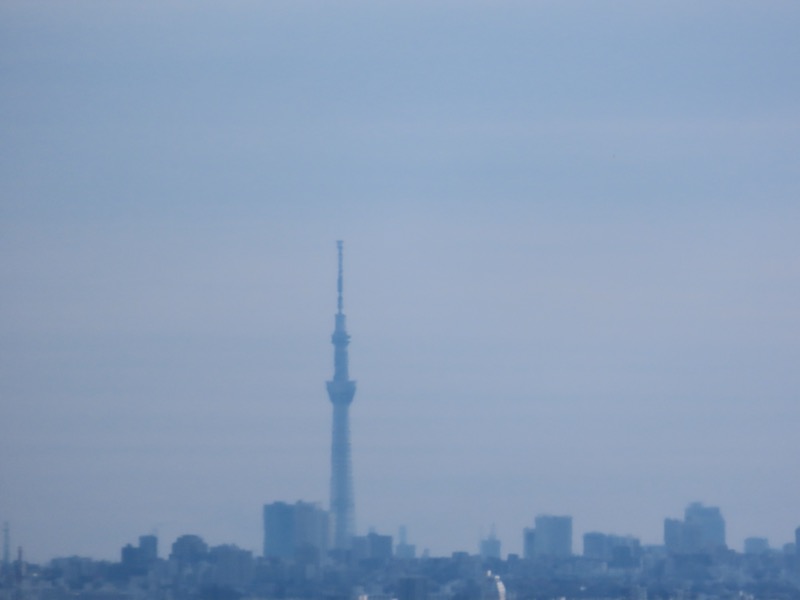 大高取山