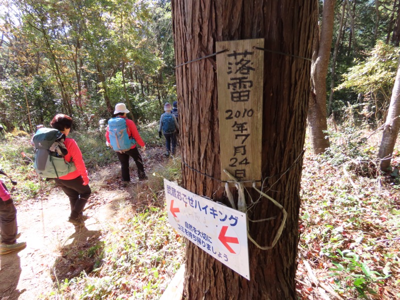 大高取山