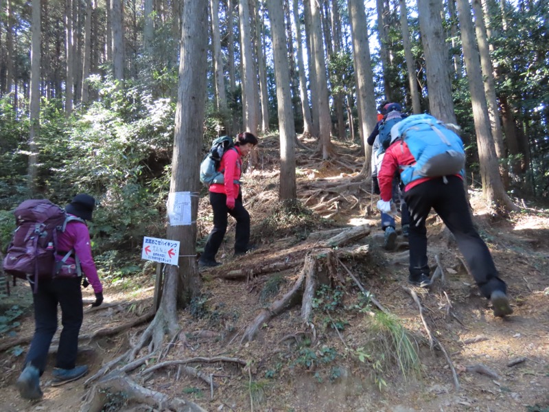 大高取山