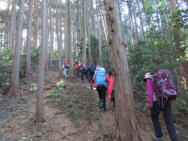 大高取山