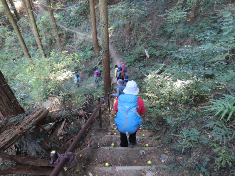 大高取山