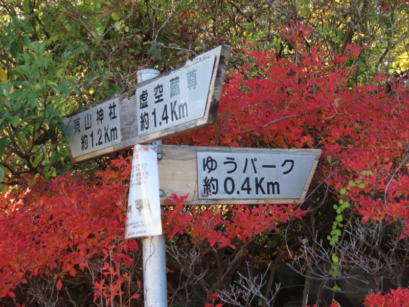 大高取山