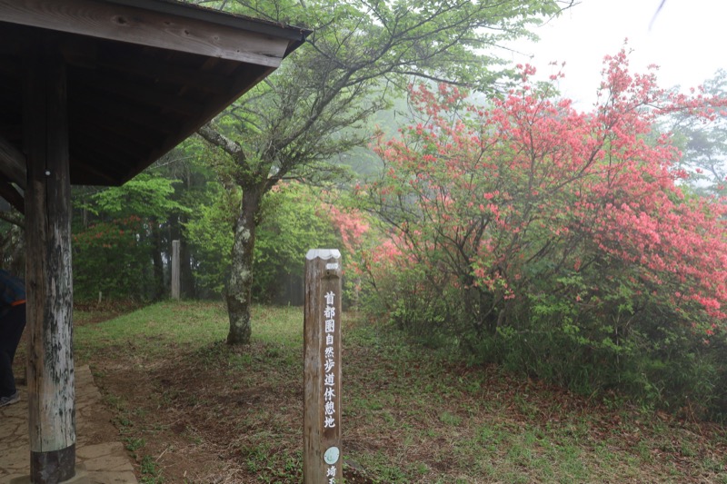 関八州見晴台