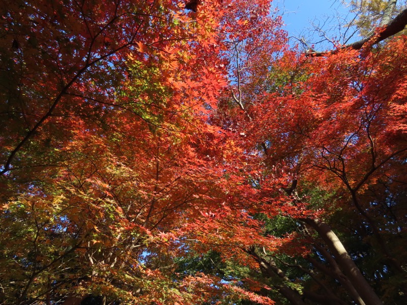 鎌倉