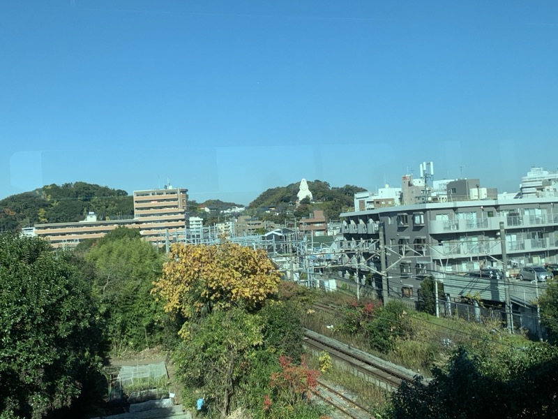 糸の会 鎌倉