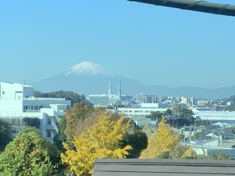 糸の会 鎌倉
