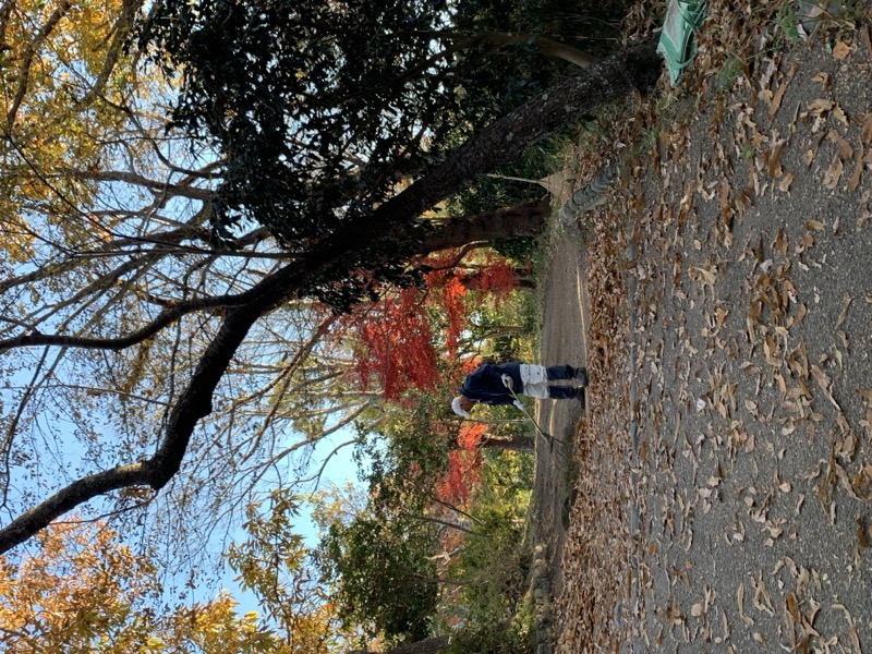 糸の会 鎌倉