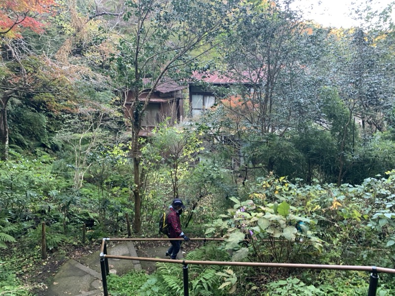 糸の会 鎌倉