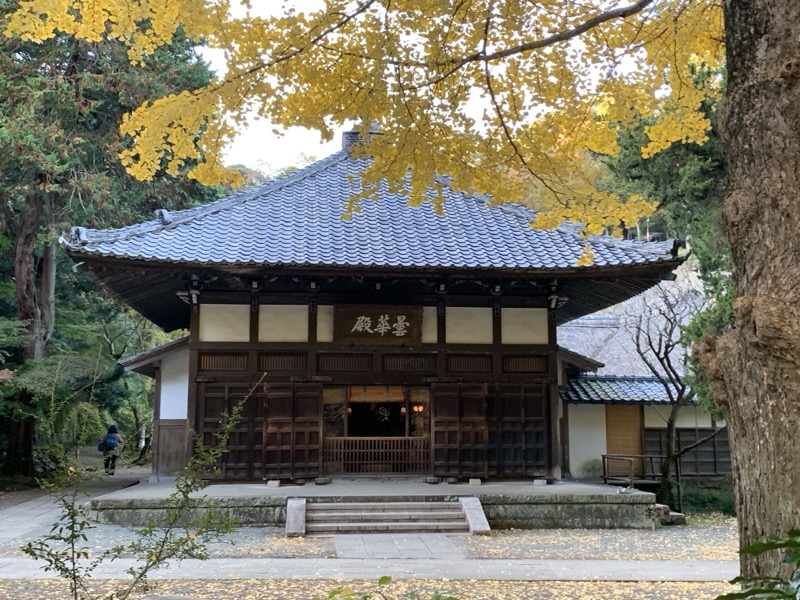 糸の会 鎌倉