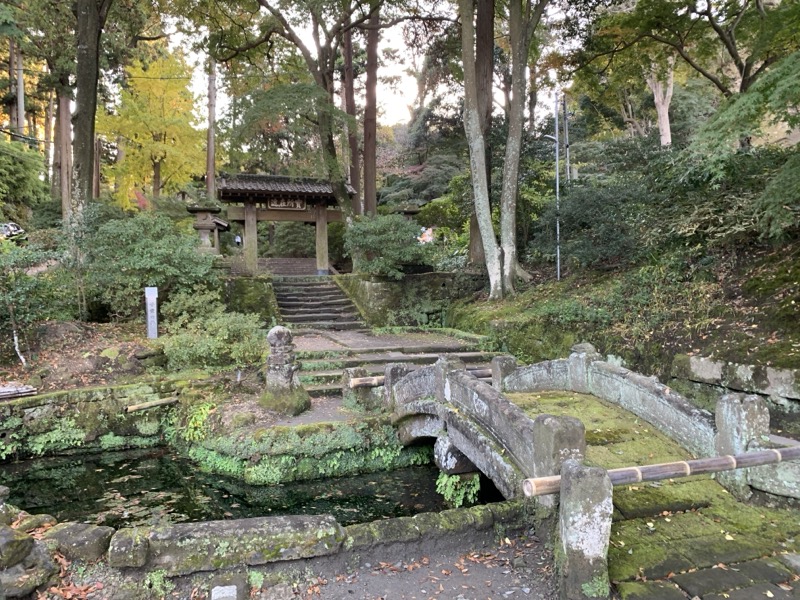 糸の会 鎌倉