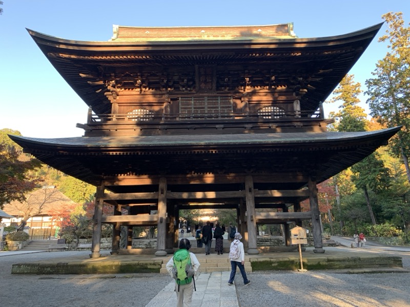 糸の会 鎌倉