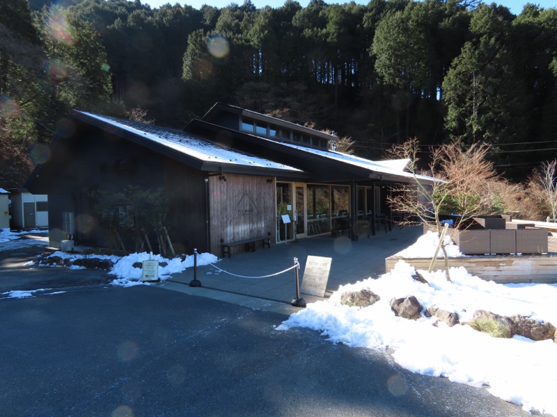 糸の会・金時山