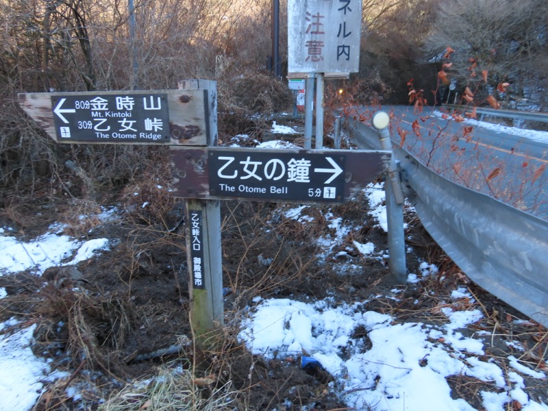糸の会・金時山