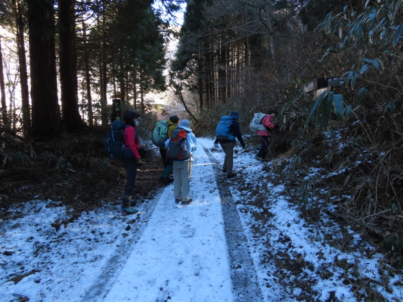 糸の会・金時山