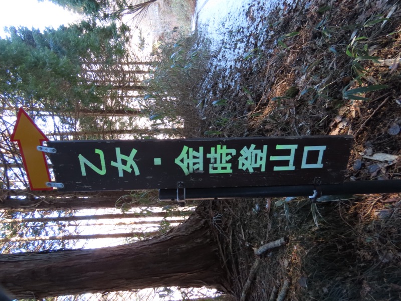 糸の会・金時山