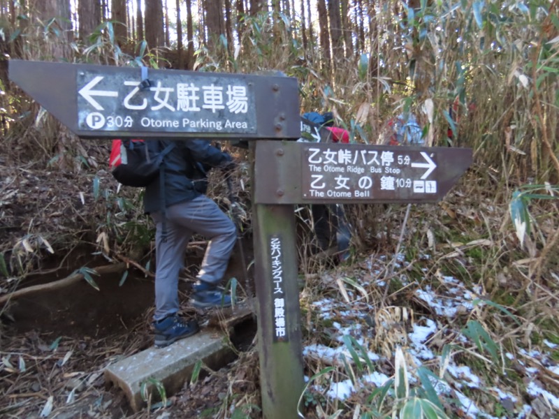 糸の会・金時山