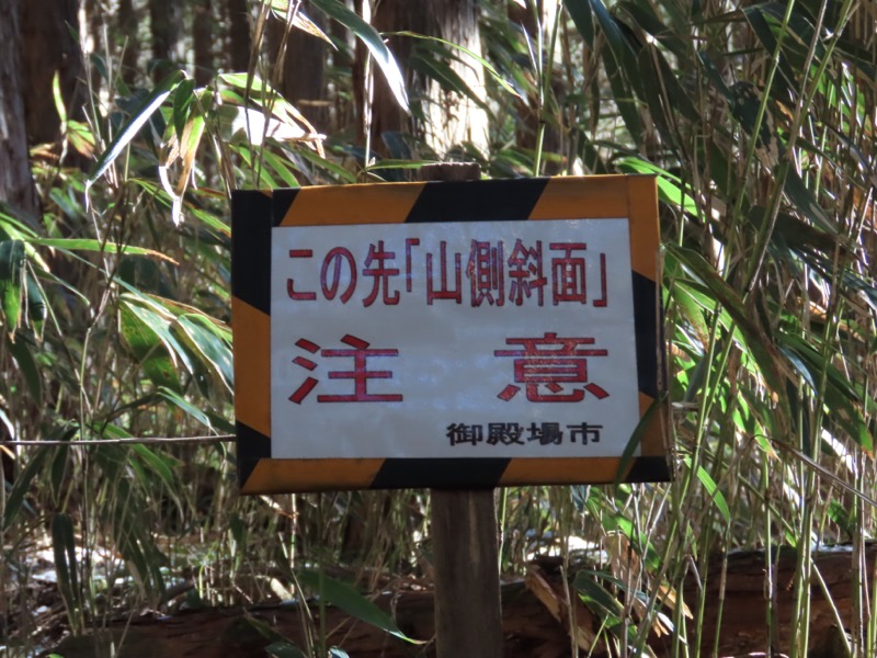 糸の会・金時山