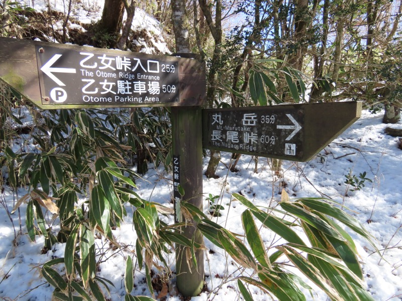 糸の会・金時山