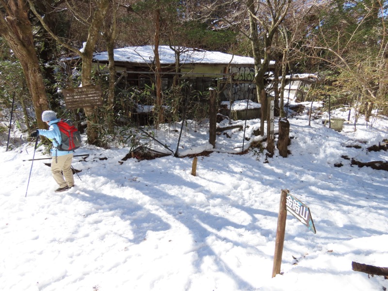 糸の会・金時山