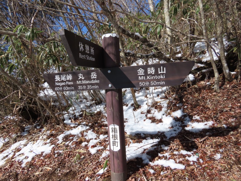 糸の会・金時山