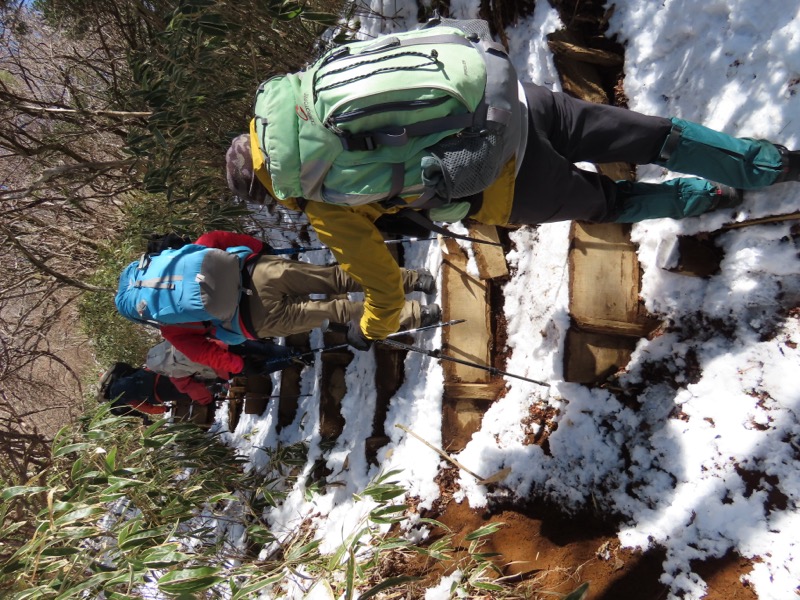 糸の会・金時山