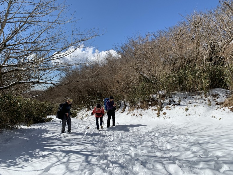 糸の会・金時山